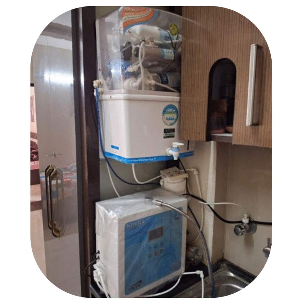 kobra family Chandighar