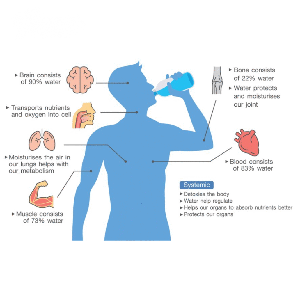 KOBRA WATER IN HUMAN BODY